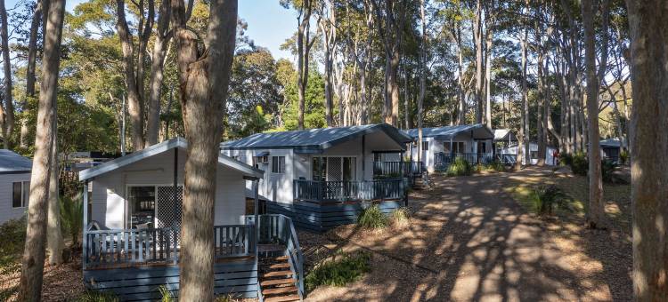 发现公园 - 纳鲁玛海滩(Discovery Parks - Narooma Beach)图片