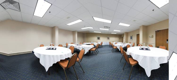 罗克福德假日酒店(Holiday Inn Rockford(I-90&RT 20/State ST))图片