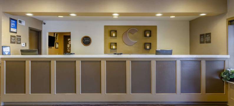 舒适套房酒店-拉芬列克星敦I-81和I-64附近(Comfort Inn & Suites Raphine - Lexington Near I-81 and I-64)图片