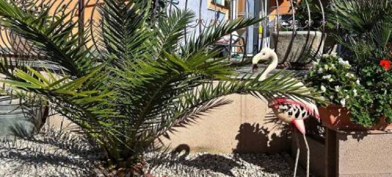 Vintiamo Apartmanok图片