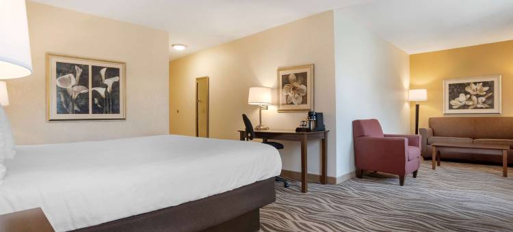 橡树山贝斯特韦斯特优质旅馆(Best Western Plus Oak Mountain Inn)图片