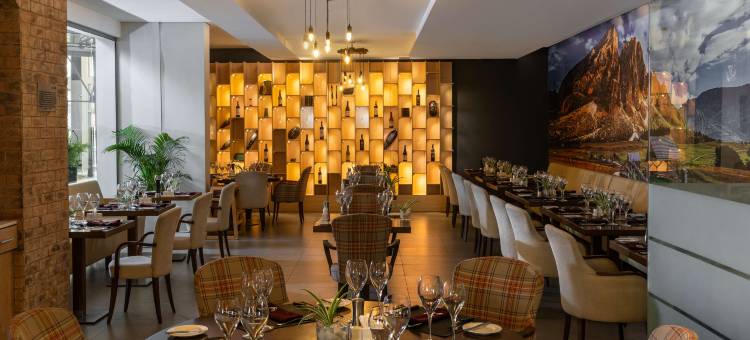 拉各斯伊凯贾丽笙酒店(Radisson Blu Hotel, Lagos Ikeja)图片