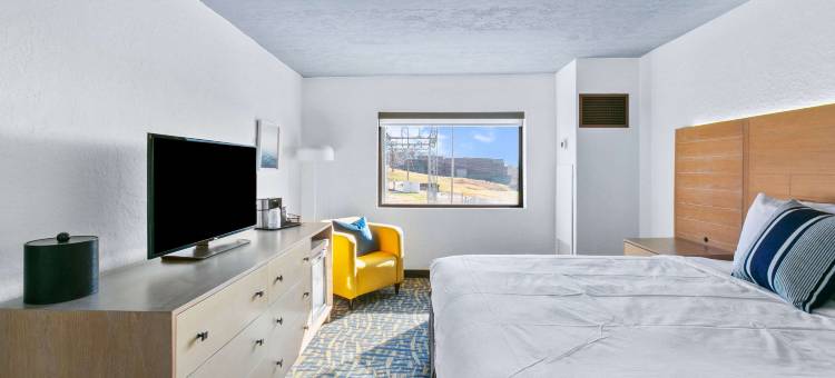 桑椹温德姆酒店(Mulberry, a Wyndham Hotel)图片