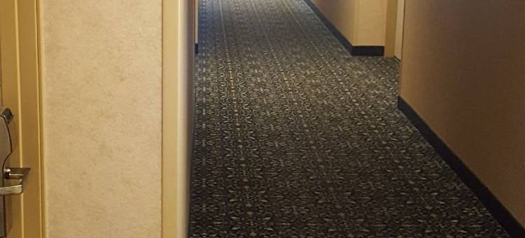 科达伦呗盟套房酒店(Baymont by Wyndham Coeur d'Alene)图片