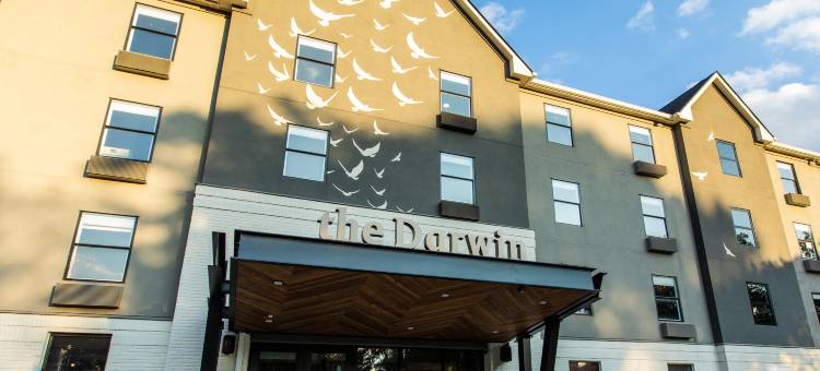 亚特兰大中城区Voco达尔文酒店(voco THE DARWIN - ATLANTA MIDTOWN by IHG)图片