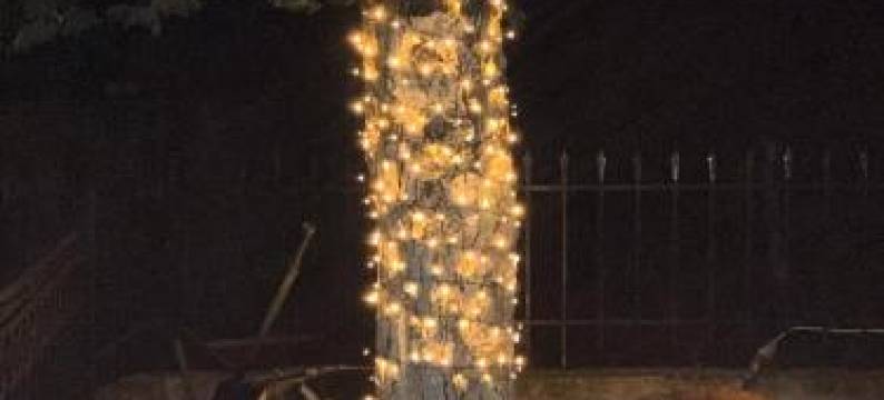 Stonehouse Dome Lagadia图片