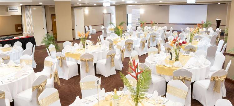 Holiday Inn 泊特莫尔斯比港(Holiday Inn & Suites Port Moresby)图片