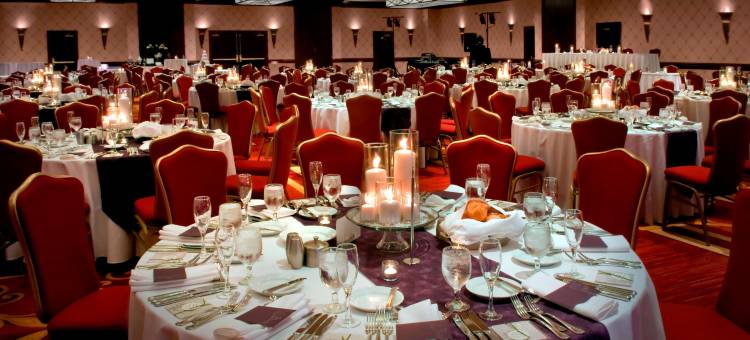 特兰伯尔谢尔顿万豪酒店(Trumbull Marriott Shelton)图片