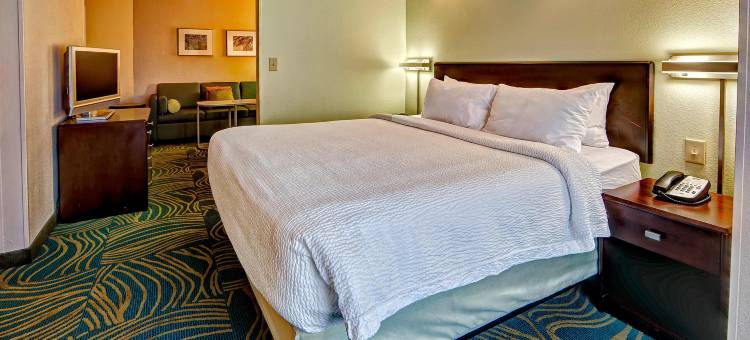 诺福克奥多明尼昂大学 SpringHill Suites 酒店(SpringHill Suites Norfolk Old Dominion University)图片