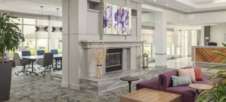 拉斐特肯金多姆希尔顿花园酒店(Hilton Garden Inn Lafayette/Cajundome)图片