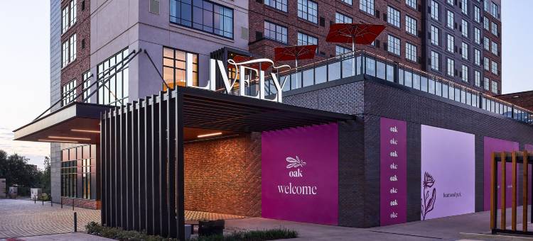 俏皮酒店(希尔顿磁带)在俄克拉何马城的橡树上(Lively Hotel on Oak Oklahoma City, Tapestry by Hilton)图片