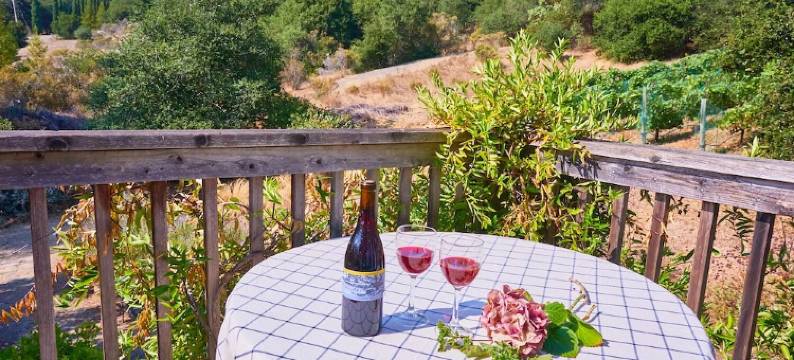 Studio cottage retreat in a vineyard setting图片