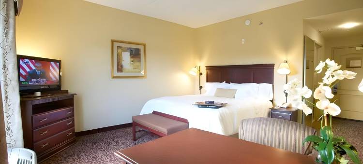 希尔顿欢朋套房酒店-奥卡拉贝尔维尤(Hampton Inn & Suites Ocala - Belleview)图片