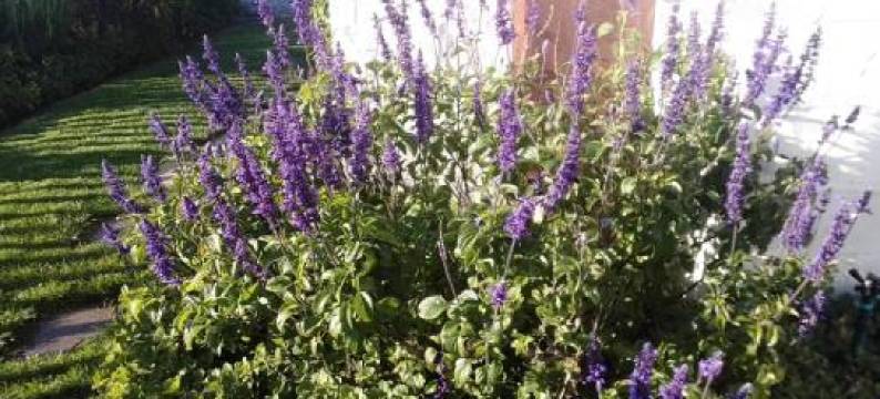 CoCo de Mer - Self Catering Log 2图片