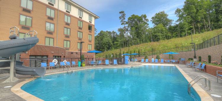 希尔顿花园酒店-鸽子谷(Hilton Garden Inn Pigeon Forge)图片