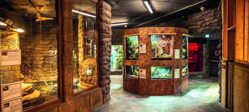 魏森豪瑟海滩度假休闲公园(Ferien- Und Freizeitpark Weissenhauser Strand)图片