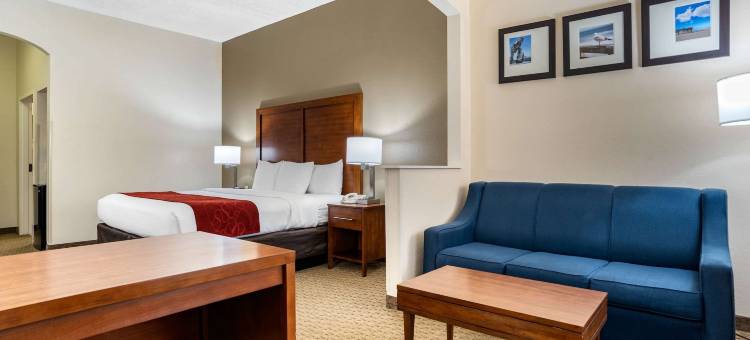 机场舒适套房酒店(Comfort Suites Airport)图片