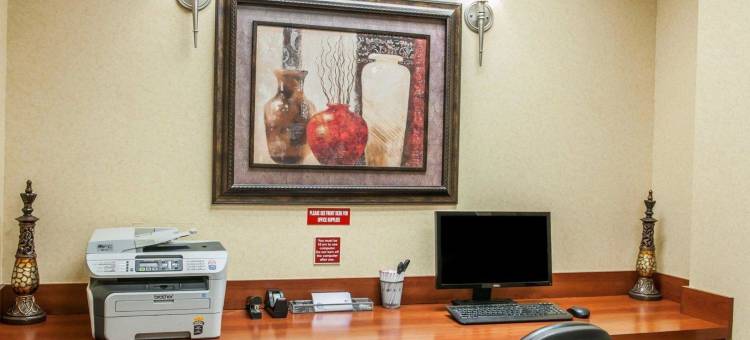 舒适套房酒店-近印第安纳波利斯机场(Comfort Suites Near Indianapolis Airport)图片