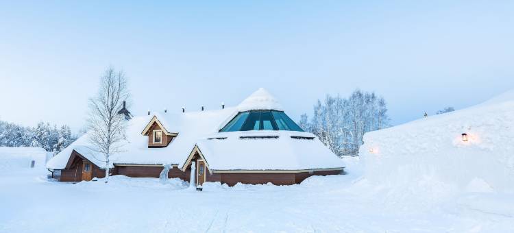 北极冰雪酒店及玻璃屋(Arctic SnowHotel & Glass Igloos)图片