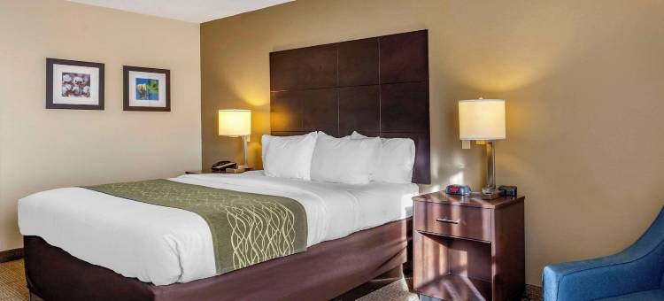 舒适酒店(Comfort Inn)图片