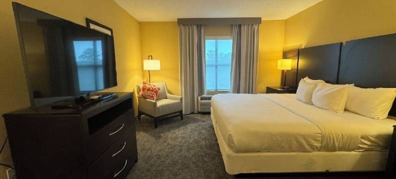 舒适套房酒店(Comfort Inn & Suites)图片