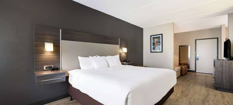 北湖舒适套房酒店(Comfort Suites Northlake)图片