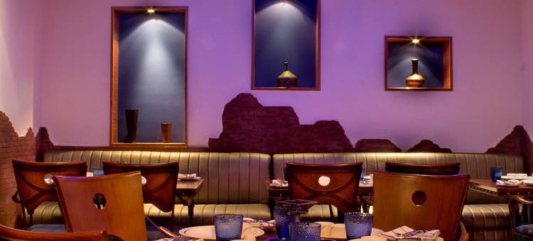 康诺特广场丽笙酒店(Radisson Blu Marina Hotel Connaught Place)图片