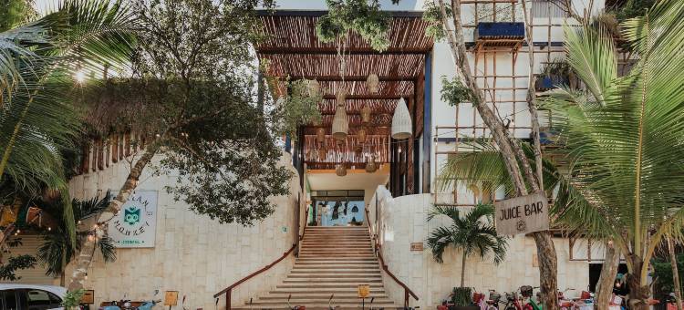 Mayan Monkey 图兰| 社交酒店(Mayan Monkey Tulum - Social Hotel)图片