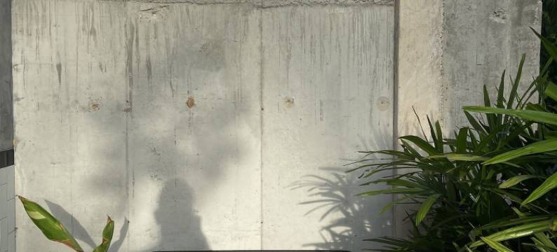 青蓬森林客栈(Forest Guesthouse Chumphon)图片