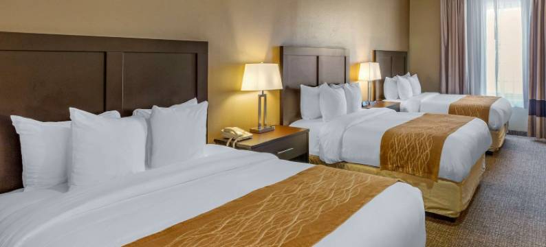 伊凡斯顿 I-80 舒适酒店(Comfort Inn Evanston I-80)图片