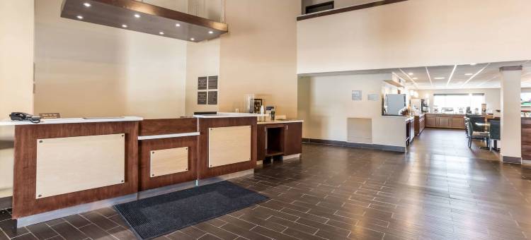 舒适酒店(Comfort Inn)图片