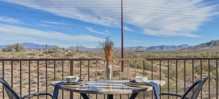 仙人掌 #202 喷泉山(Saguaro #202 Fountain Hills)图片