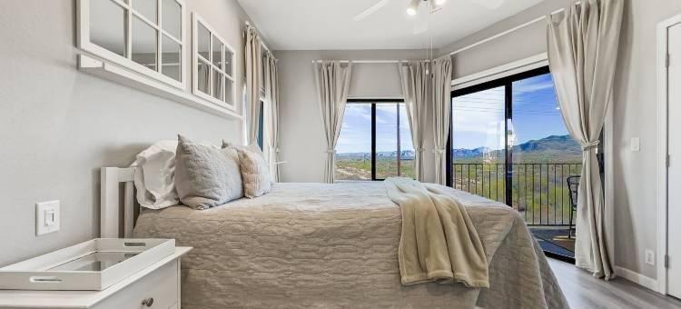 仙人掌 #202 喷泉山(Saguaro #202 Fountain Hills)图片