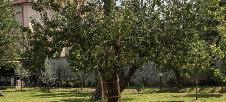 邱萨蒙纳克旅馆(La Chiusa Delle Monache)图片