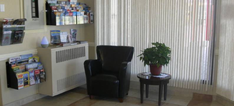 斯特昂佩德酒店(Stampeder Inn)图片