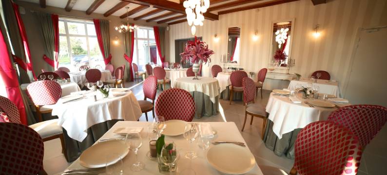 勒里翁德奥尔酒店餐厅(Hotel Restaurant le Lion d'Or)图片