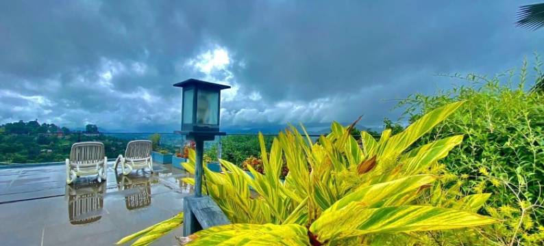 390 维拉维斯塔(390 Villa Vista)图片