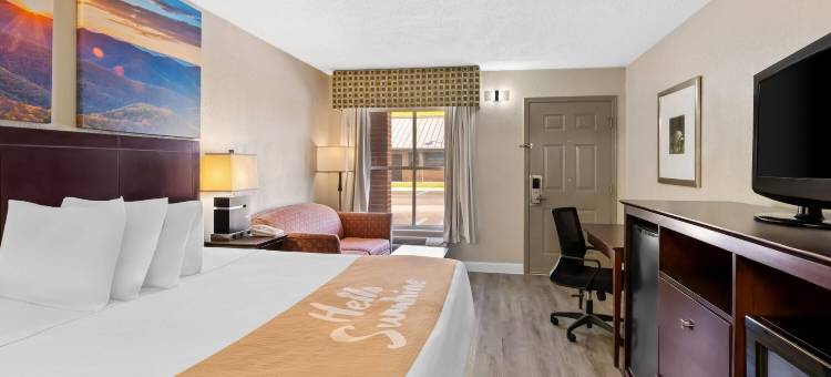 彼得斯堡利堡南温德姆戴斯酒店(Days Inn by Wyndham Petersburg/South Fort Lee)图片