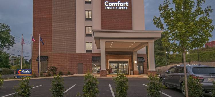 市中心舒适套房酒店-近大学(Comfort Inn & Suites Downtown Near University)图片