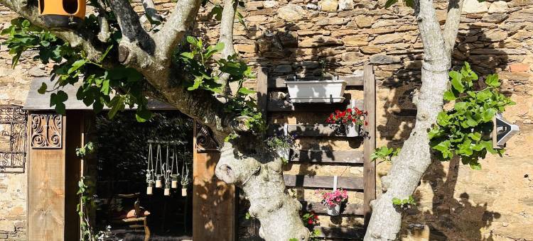 拉普拉塞特阿尔比杰瓦斯(La Placette Albigeoise)图片