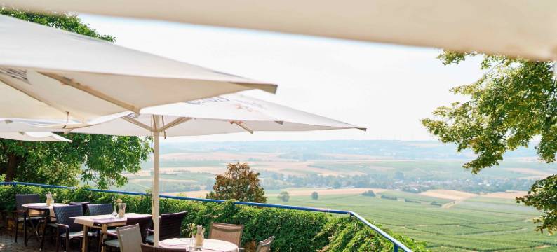 霍夫古特威斯贝格 - 酒庄酒店(Hofgut Wißberg - Das Weinberghotel)图片