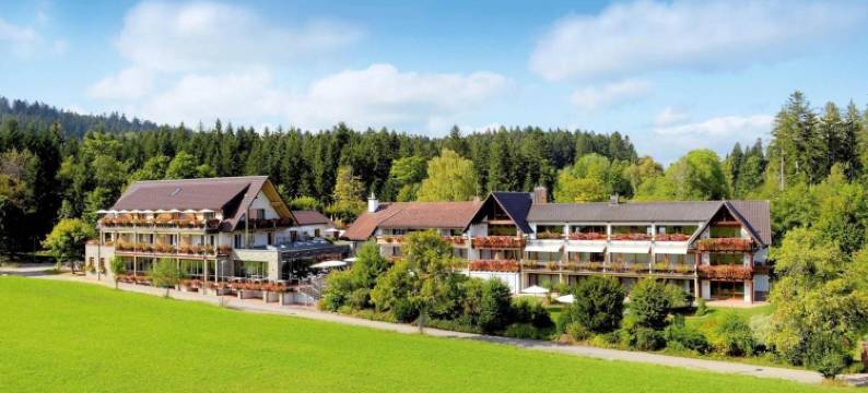 格鲁纳森林酒店(Hotel Grüner Wald)图片