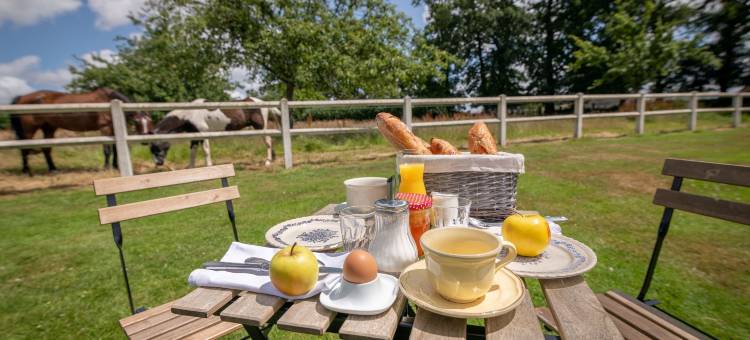 Le Manoir de la Campagne图片