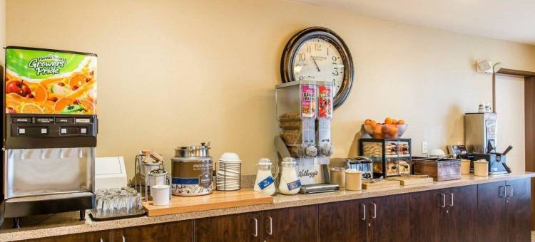 拉皮德城美茵斯坦套房酒店(MainStay Suites Rapid City)图片