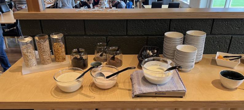 自然酒店(Hotel Natur Akureyri)图片