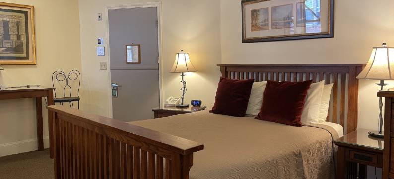 绿洲宾馆(Oasis Guest House)图片