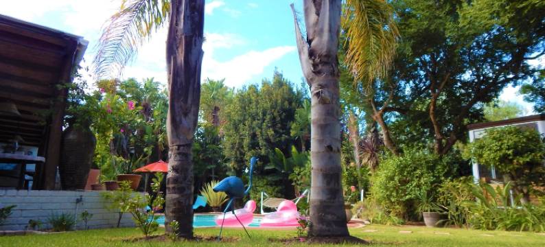 卡沙蒙戈民宿旅馆(Khashamongo B & B)图片