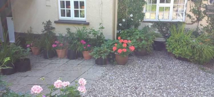 布拉姆布蕾丝住宿加早餐酒店(Brambles Bed and Breakfast)图片