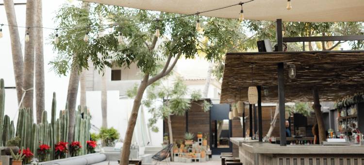 Drift San Jose del Cabo, a Member of Design Hotels图片