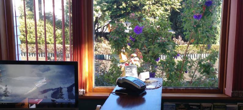 红木汽车旅馆(Redwood Lodge Motel)图片